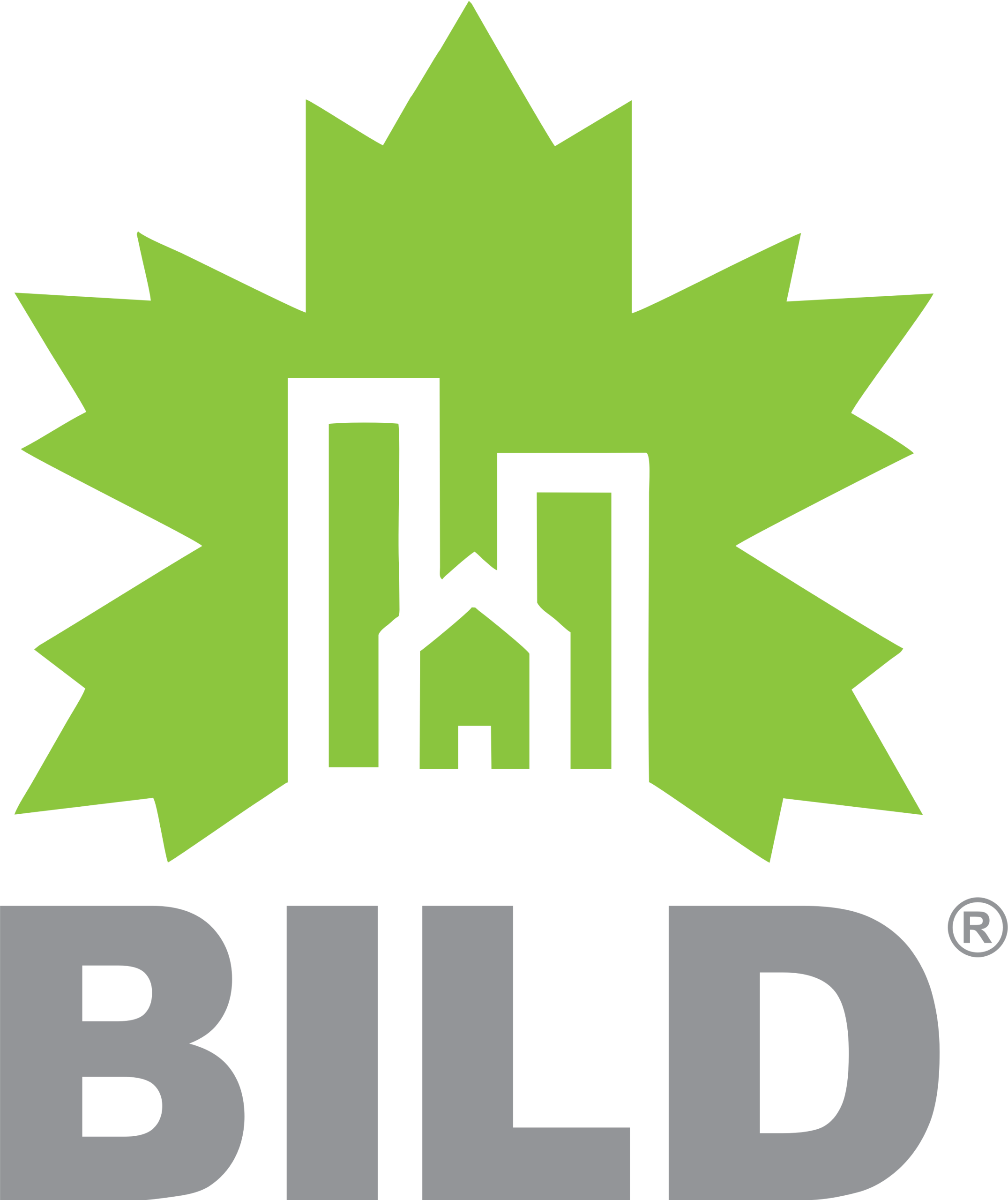 BILD_LOGO